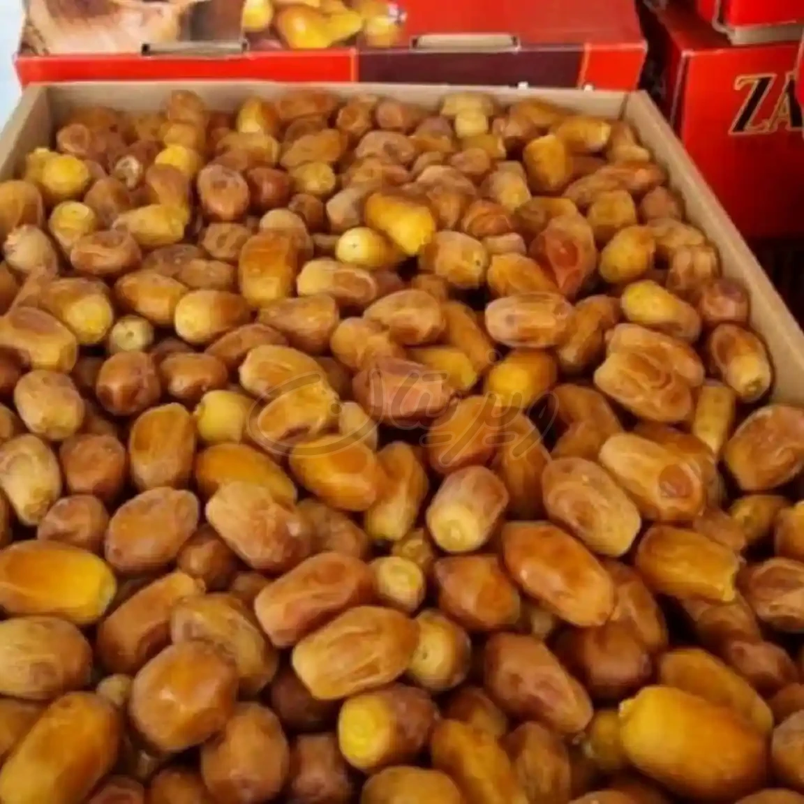 خرما زاهدی فله