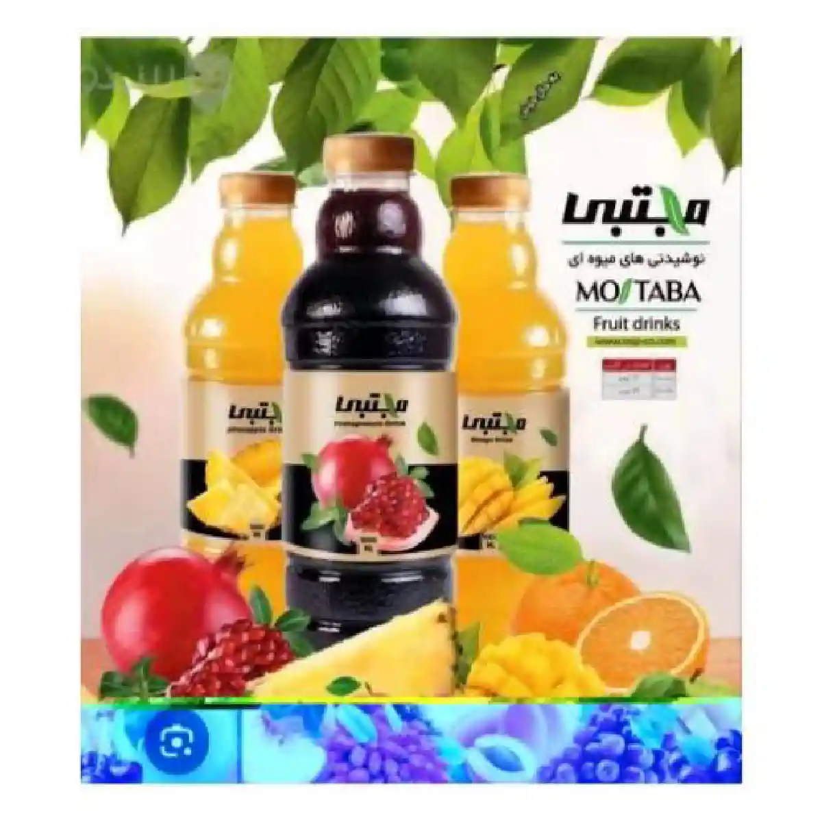 پخش آبمیوه مجتبی