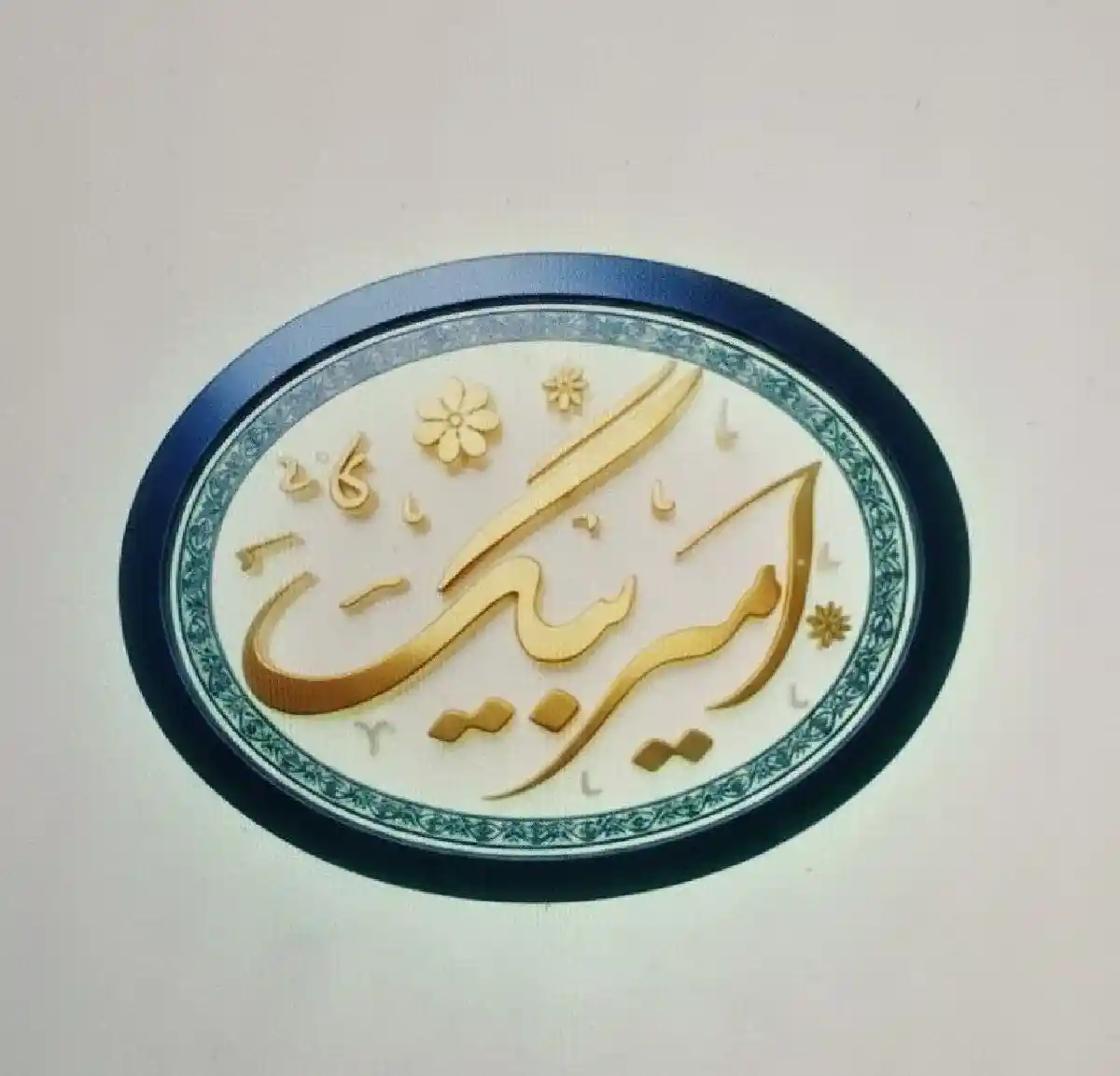 پخش امیر بیگ