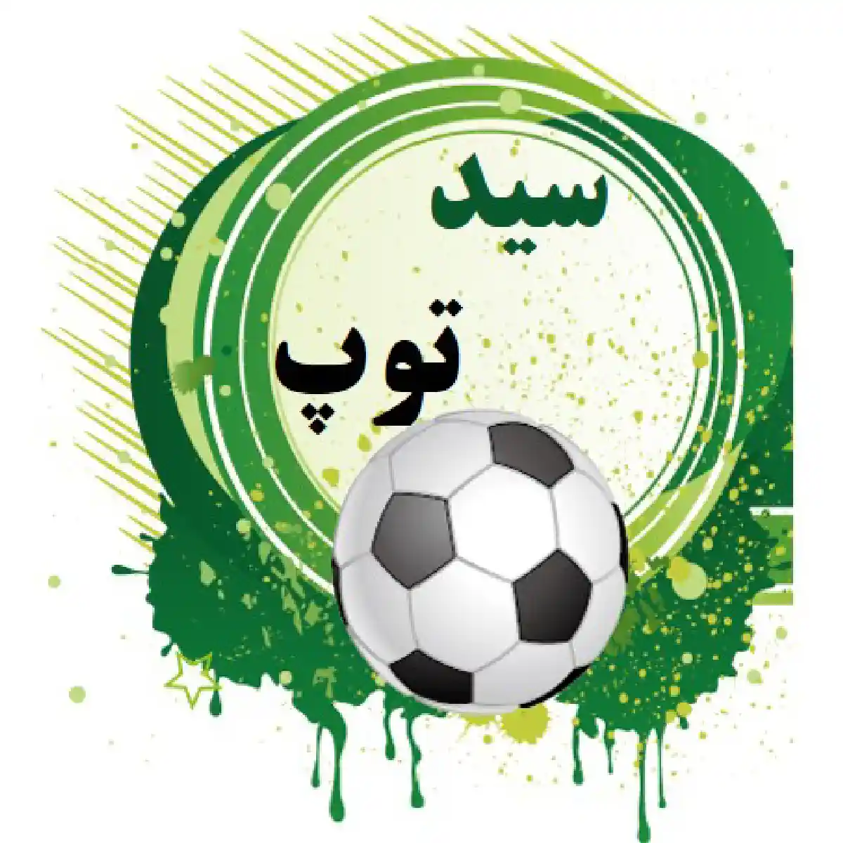 سید توپ