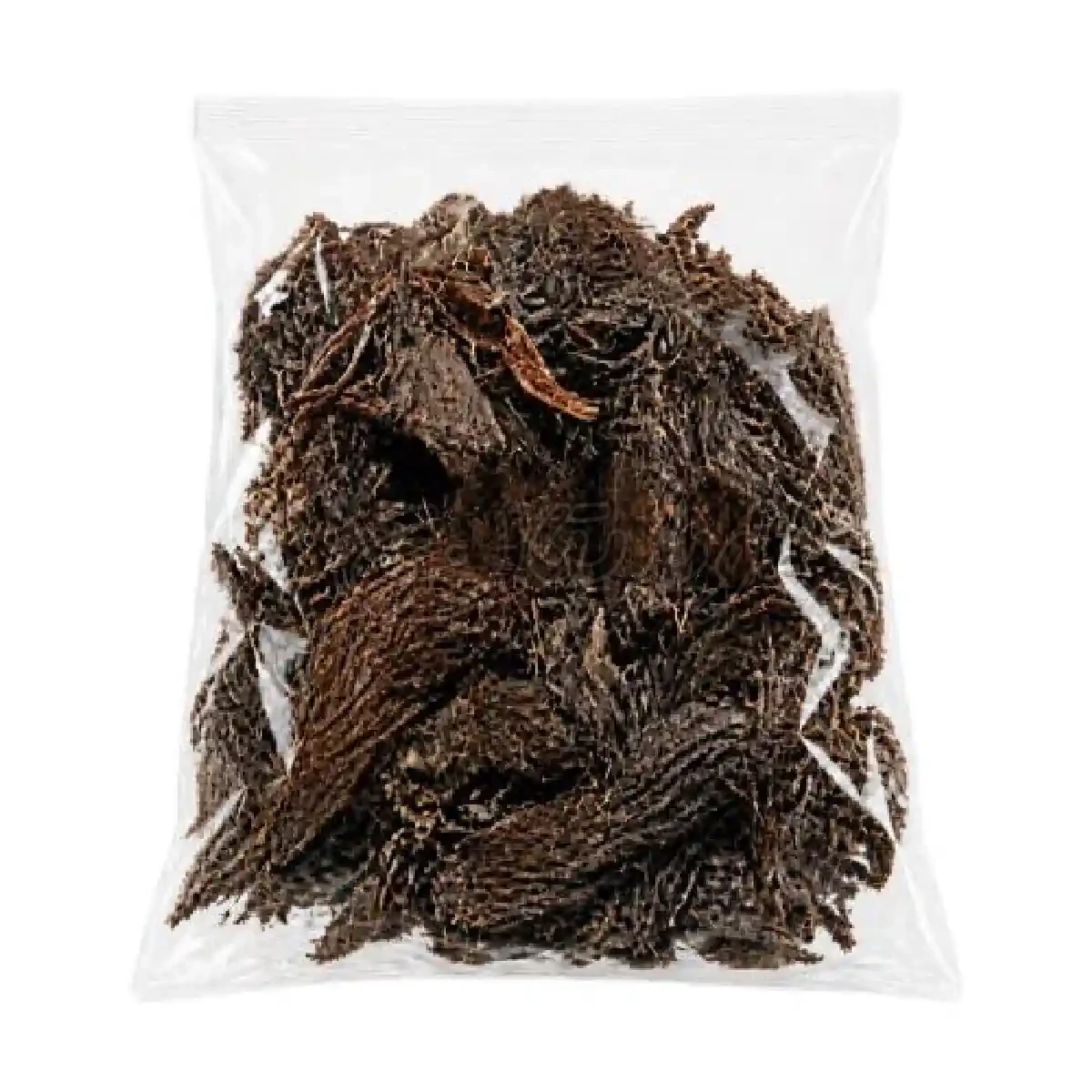 سنبل الطیب ۱۰۰گرمی